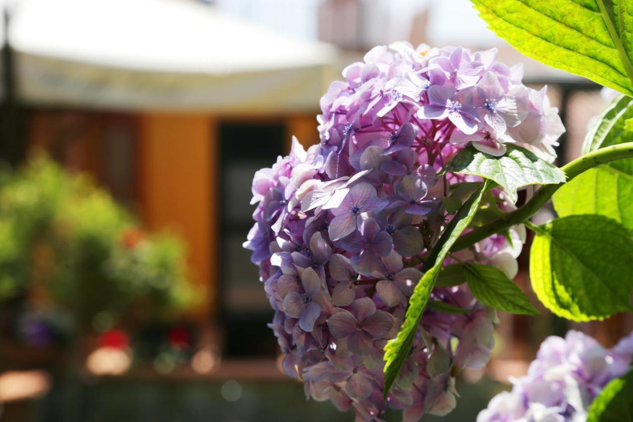 Bed and Breakfast Casa Rosaria Amalfi Coast Vietri Exteriér fotografie